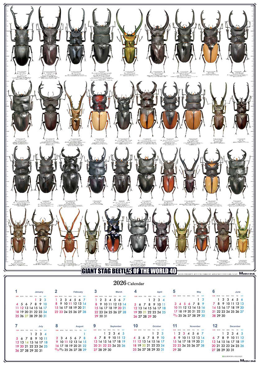 2026年カレンダープレゼント