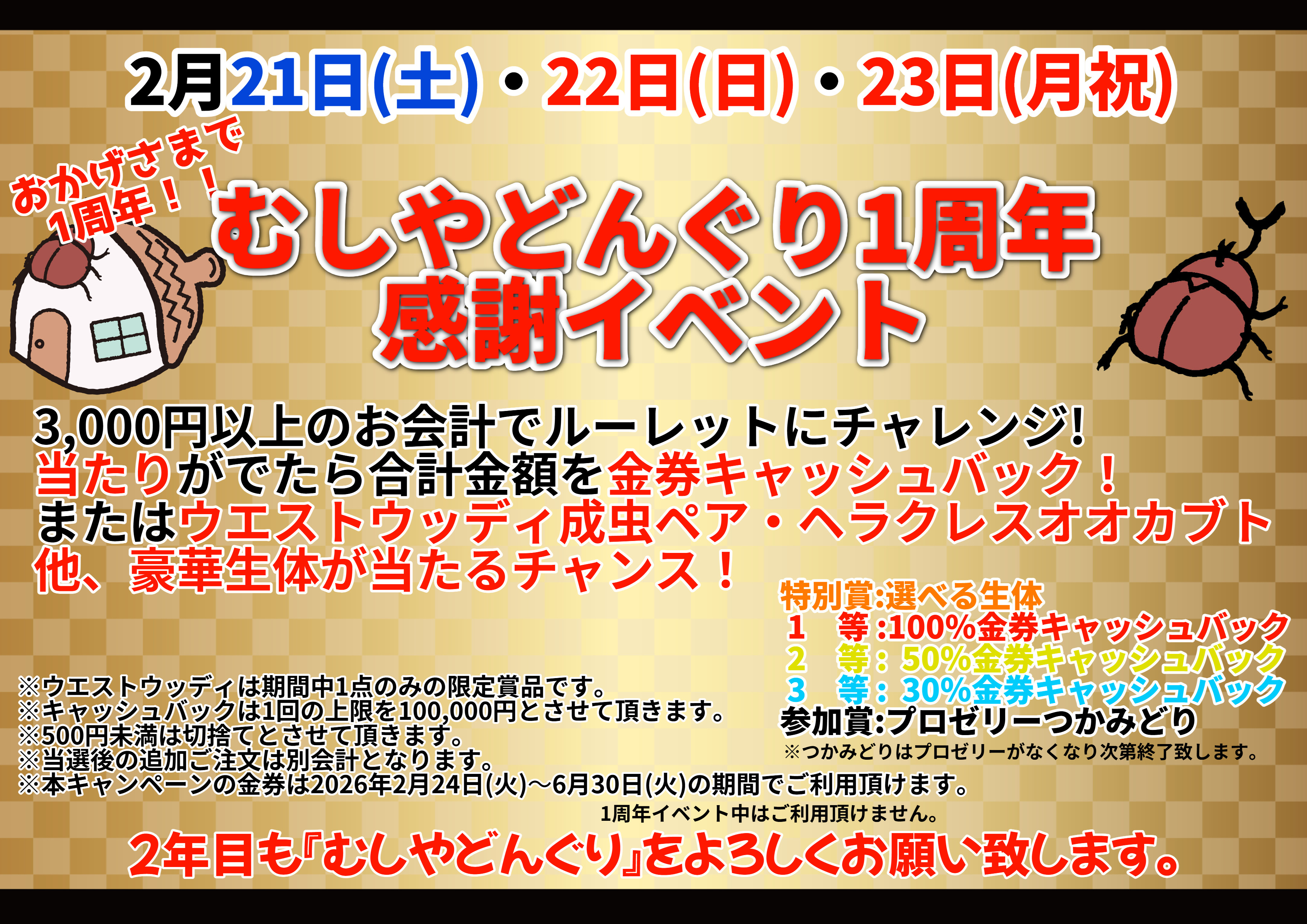 むしやどんぐり1周年感謝イベント開催