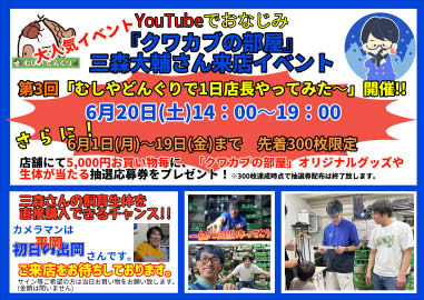 クワカブの部屋 1日店長イベント開催