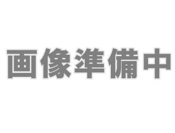 【WF1】ルックミヤマクワガタ幼虫　3頭セット